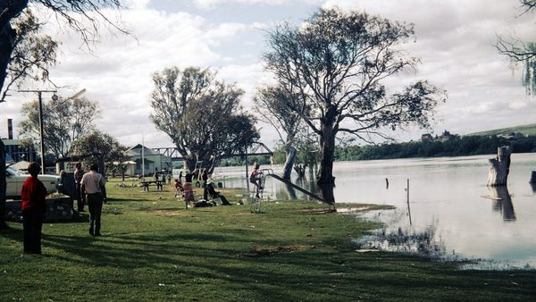 River Murray swamps may flood this spring