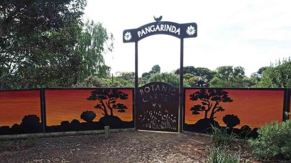 Walk of the Month: Pangarinda Botanic Garden, Wellington East