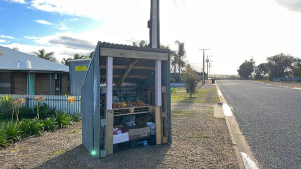 Charitable stall on Acacia Street overflows with produce and goodwill