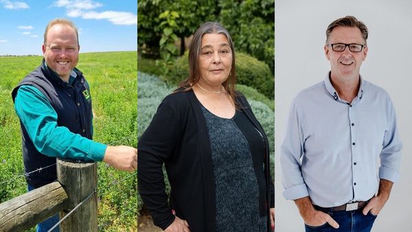 Meet the minor-party candidates hoping to shape the election campaign in Barker