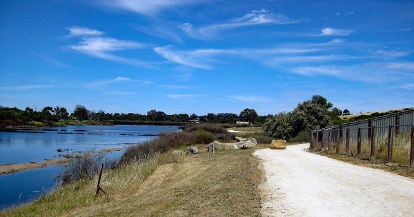 Walk of the month: Narooma Wetland, Murray Bridge