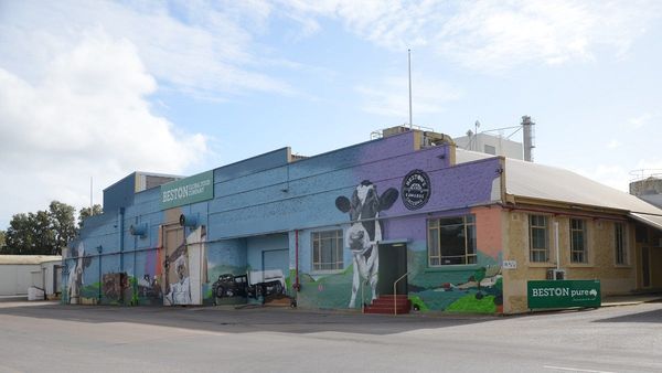 Jervois dairy factory expansion will create 40 jobs