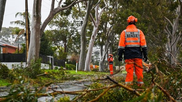 Damaging winds batter the Murraylands