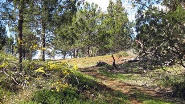 Walk of the Month: Hartmann Road to Highland Road, Monarto