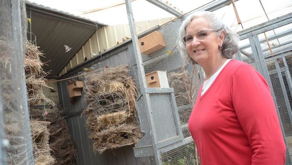 Join in ... with the Lower Murray Bird Club