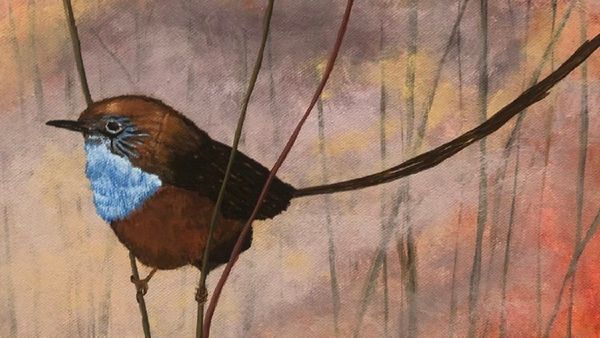 Your guide to the 2022 SALA Festival in the Murraylands