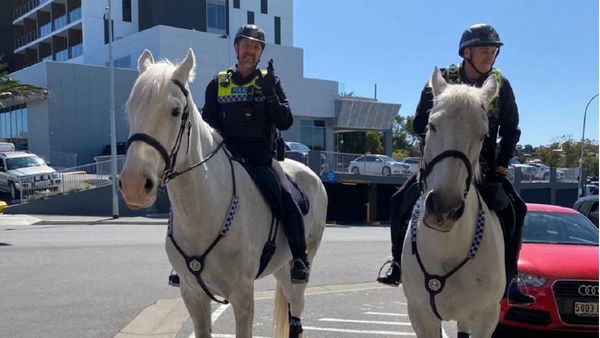 Horses steal the show at Coffee with a Cop