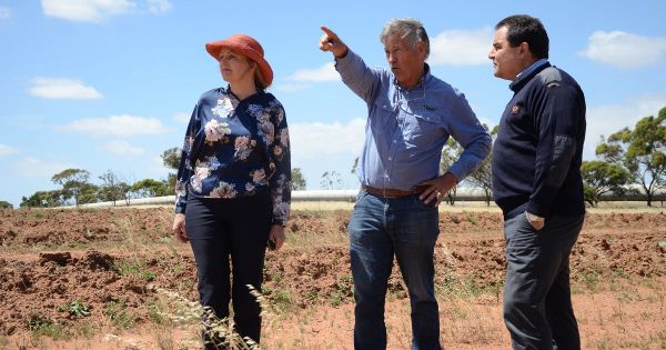 Keeping kangaroos out proves key to conservation at Frahns Farm