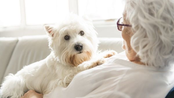 Health and care expo will connect employers with potential workers in Murray Bridge