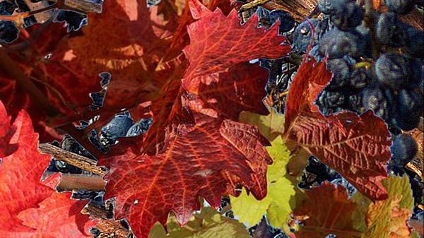 Life Through the Lens: Changing seasons