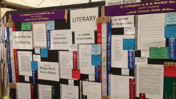 Callington Show competition asks artists, writers to reflect on 2020