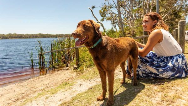 Dogs now allowed off-leash at two more Murray Bridge parks