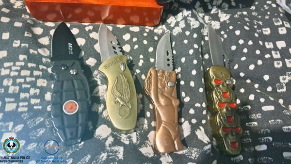 Ettrick man charged with weapons offences after police raid