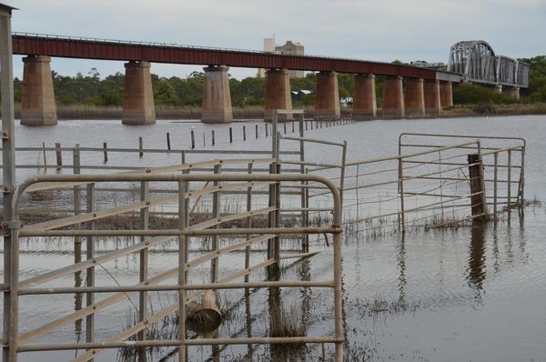 State government survey seeks your input for River Murray flood recovery plan