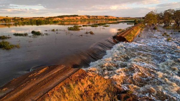 $31.3 million promised for Lower Murray levee repairs
