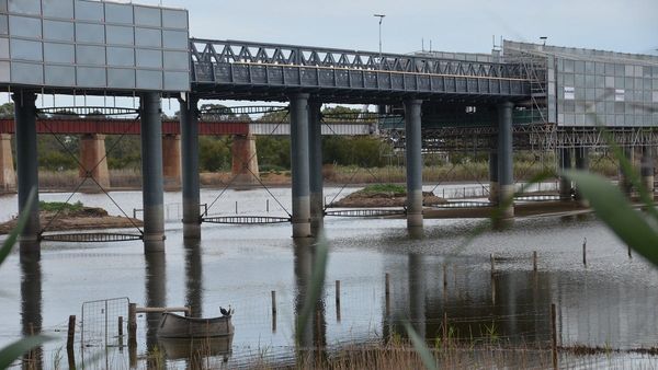 Old Murray Bridge will be closed this Friday