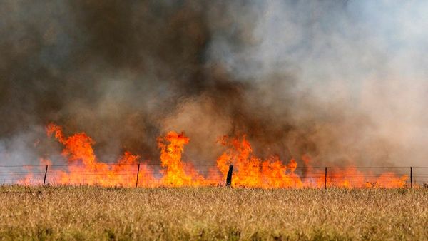 Header fire at Wynarka causes $90,000 damage