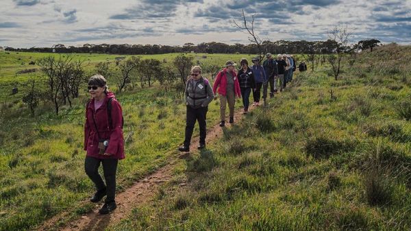 Walk of the Month: Bremer Valley Walk to Callington
