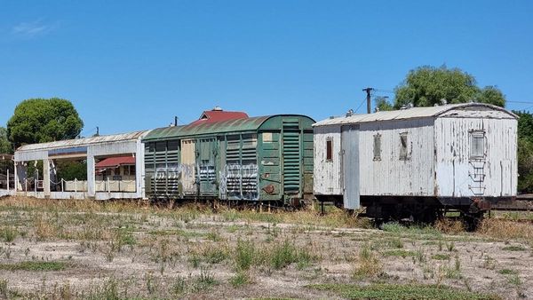 Tailem Bend railway carriages up for grabs