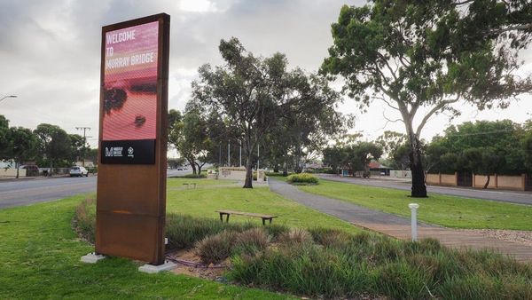 Walk of the Month: Adelaide Road Linear Park, Murray Bridge