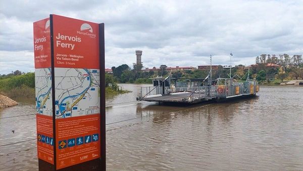 Tailem Bend ferry will close for repairs on February 8