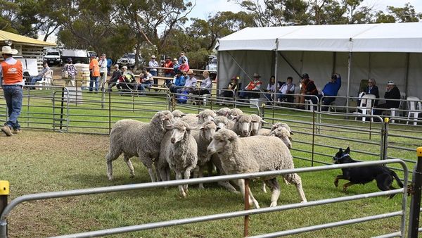 Ever-popular Karoonda Farm Fair and Show returns in 2023