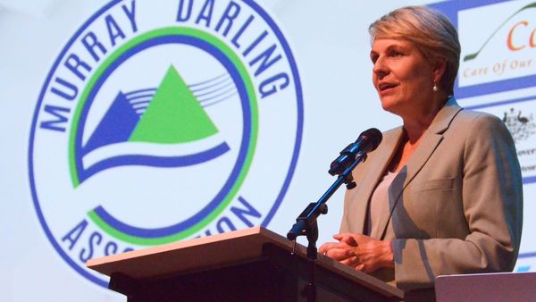 Water buybacks won’t make groceries more expensive, Tanya Plibersek says