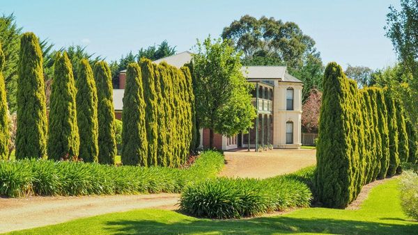 Walk of the month: Historic Strathalbyn township