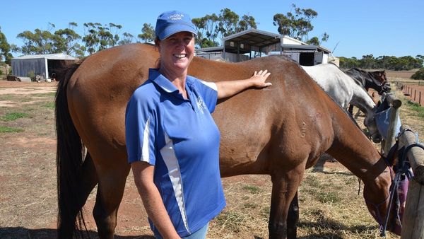 Monarto horse charity hopes to stay a-float