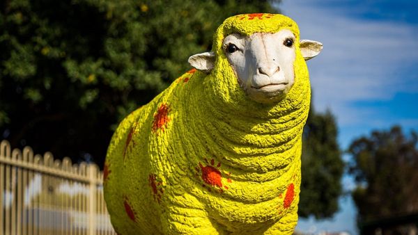 Bold plan proposes ‘civic heart’ for Tailem Bend’s main street