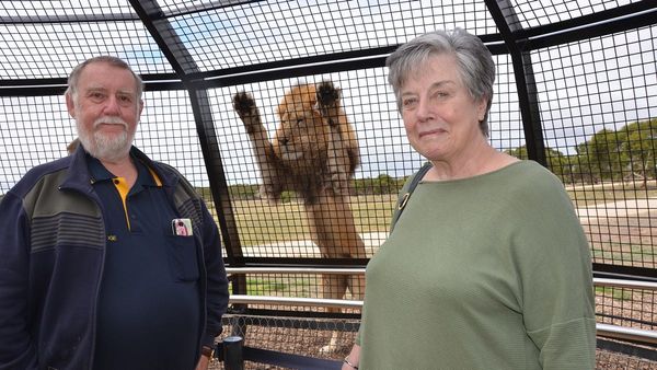 Join in … with the Lions Club of Murray Bridge 