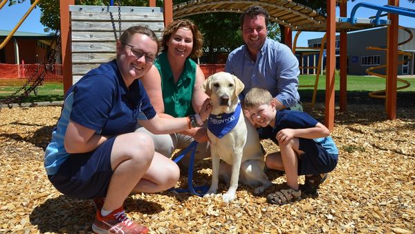 Tyndale Murray Bridge’s new therapy dog Lemmie is no lemon