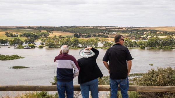 River Murray flood inquiry calls for submissions