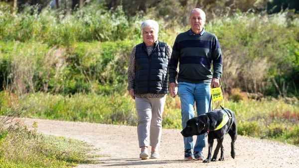 Meet Adrian Elliott and his best friend Morris