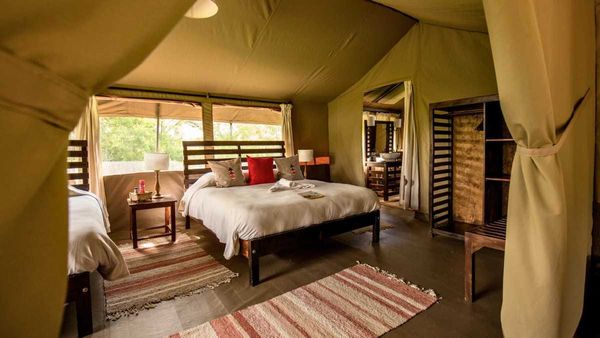 Glamping plans move ahead at Monarto Safari Park
