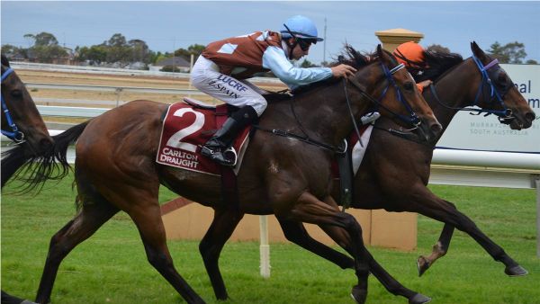 Things to do in Murray Bridge: November 10–16, 2023