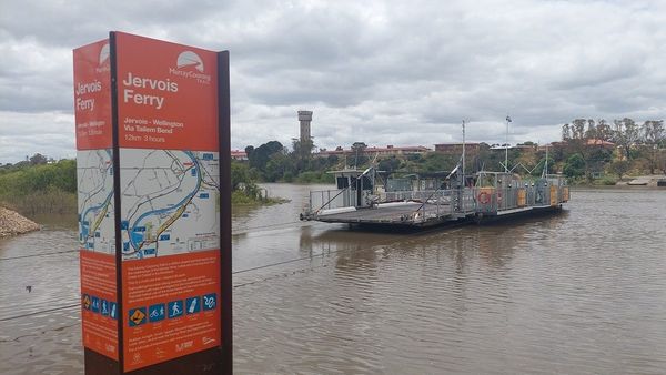Tailem Bend ferry will close for a while next Tuesday