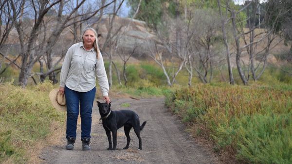 We’re not ready for another flood, Lower Murray irrigators warn