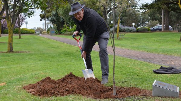 King Charles III gets his own tree at Diamond Park