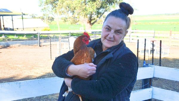 Jervois couple have big plans for Everyone’s Got an Olly