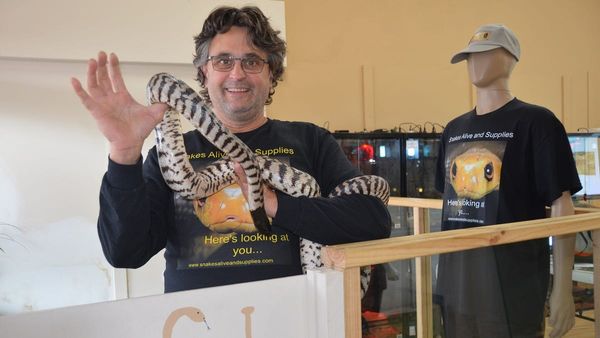 Behind this Murray Bridge shopfront is SA’s biggest collection of venomous snakes