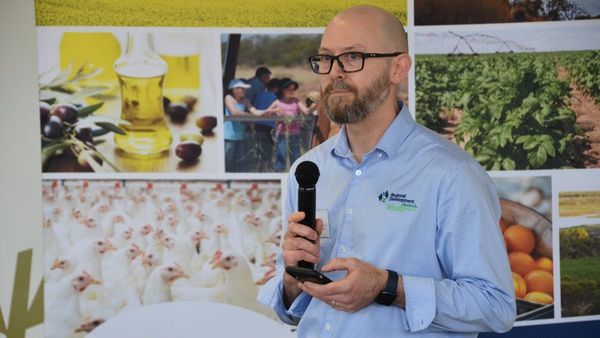 Regional Development Australia plans to think globally, act locally