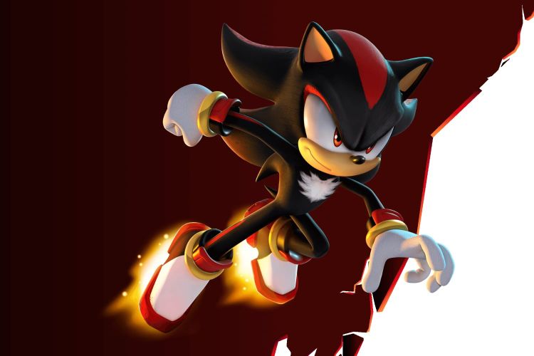Sega réussit haut la main son année de Shadow