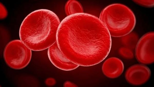 Why You Should Participate in the Blood Drive