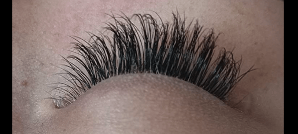 cat eyelash extensions