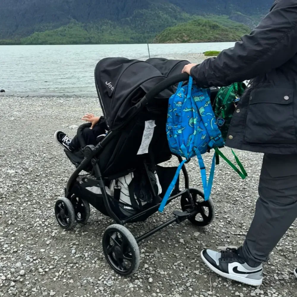 stroller for twins