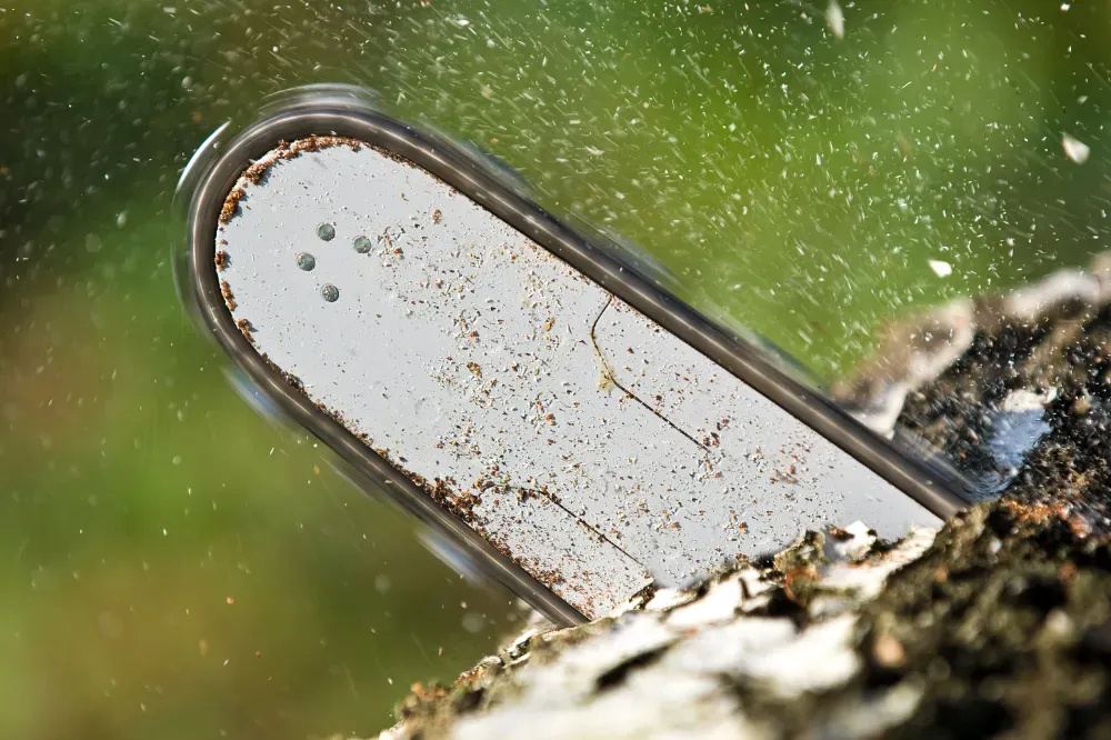 How to oil a mini chainsaw