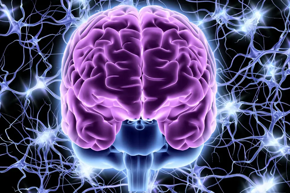 Does lion's mane really improve memory