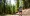 Summer Trail Season, and Western States Endurance Run