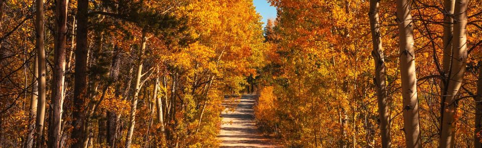 A New School Year, A New Crew